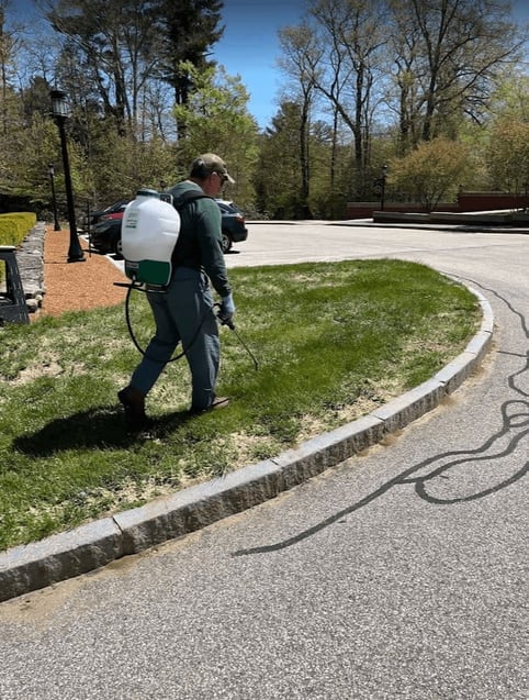 Collins Tree Service's team members protecting shrubs and trees from insects and disease