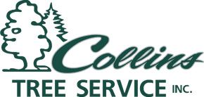 Collins Tree Service