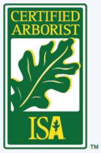 isa-certified-arborist